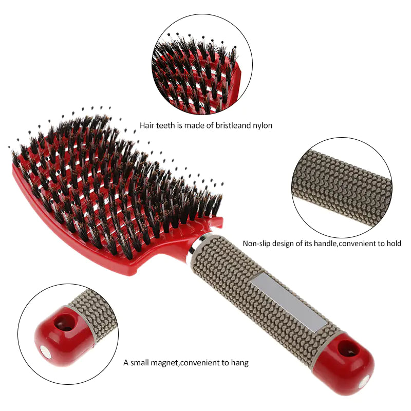 Wet Hair Brush and Massage Comb for Hairdressing Tools