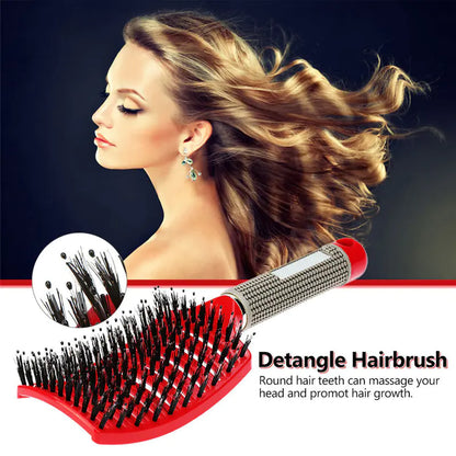 Wet Hair Brush and Massage Comb for Hairdressing Tools